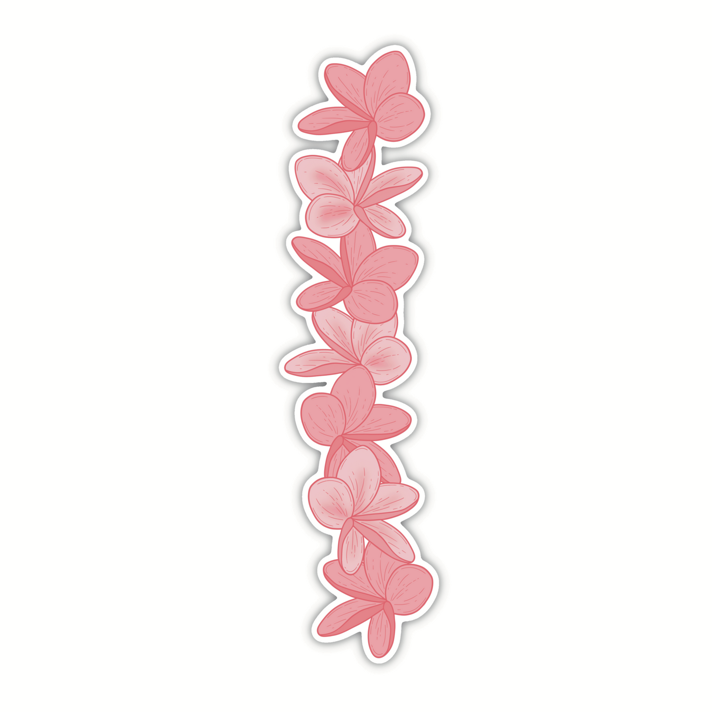 Plumeria Pink
