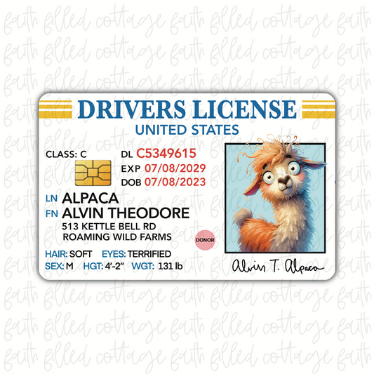 Alpaca (Alvin) - Funny DL