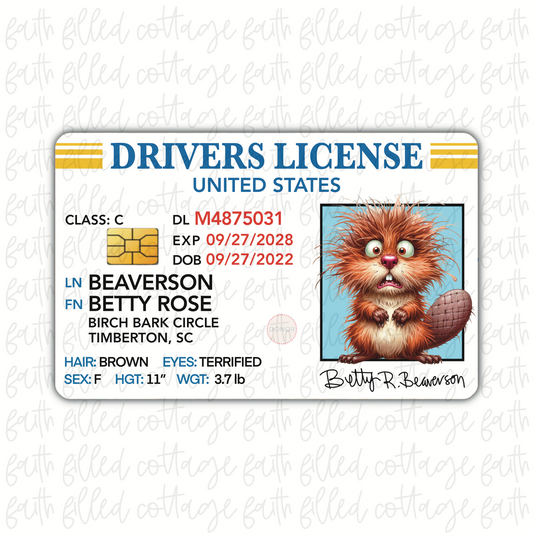 Beaver (Betty) - Funny DL