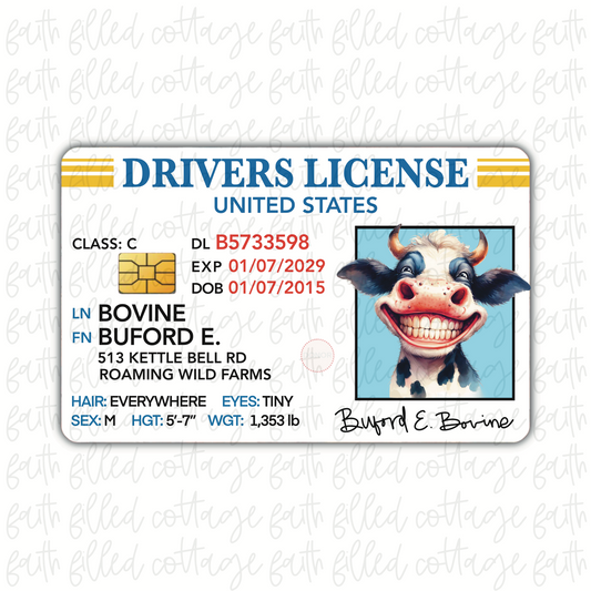 Cow (Buford) - Funny DL