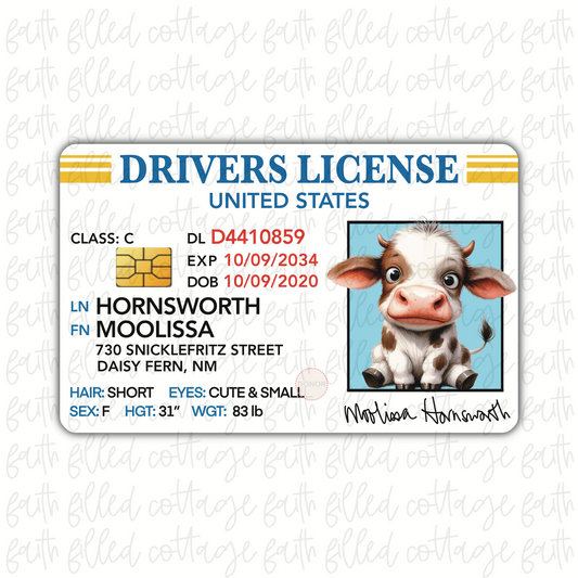Cow (baby) - Funny DL
