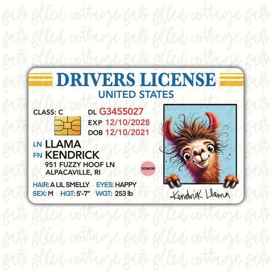 Llama (Kendrick) - Funny DL